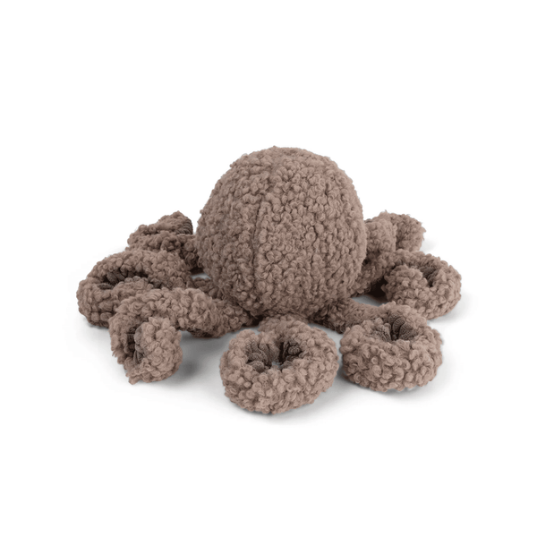 Krake SQUID - Schnüffeltüftler