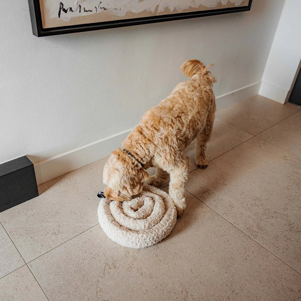 Schnüffelspielzeug SWIRL - Schnüffeltüftler