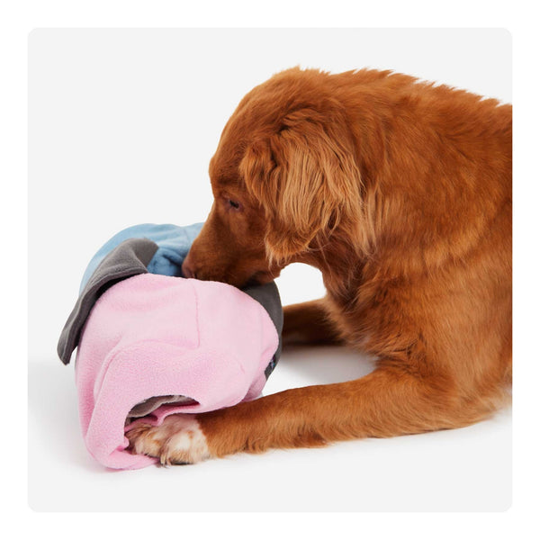 Hund liegt vor der Sniffroll von Knauder’s Best in Rosa und Hellblau und steckt neugierig seine Nase hinein – interaktives Schnüffelspielzeug zur Nasenarbeit.