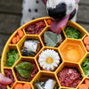 Honeycomb SlowFeeder.