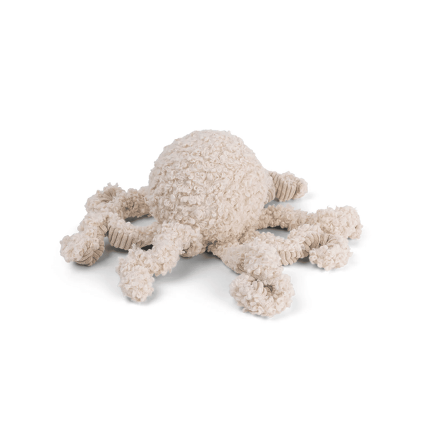 Krake SQUID - Schnüffeltüftler