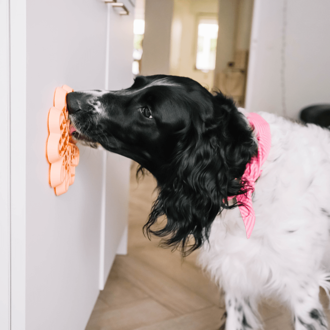 Schleckmatte Waffel - Schnüffeltüftler